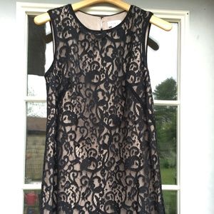 Black Lace LOFT Women's Dress Sz 8